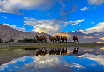 Majestic Leh Ladakh Tour – Discover the Land of High Passes